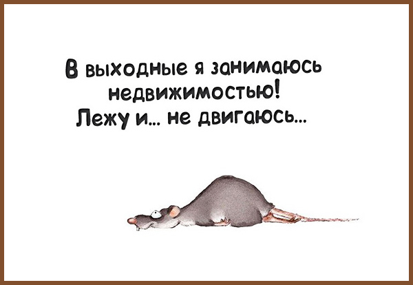 Днем рождения, открытка про выходные приколы