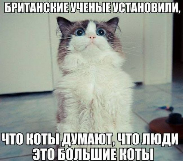 Надписью татаров, картинки с надписями и ты ничего