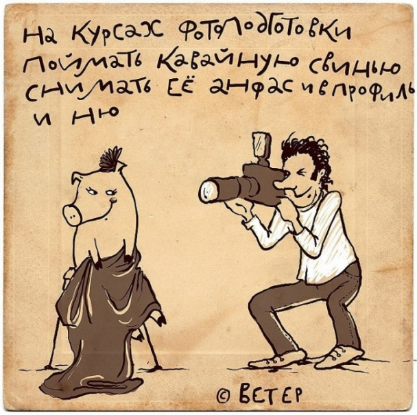 Самодельные, стихи и приколы в картинках