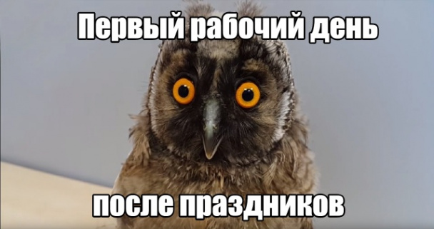Картинки рабочий день после праздников, днем рождения