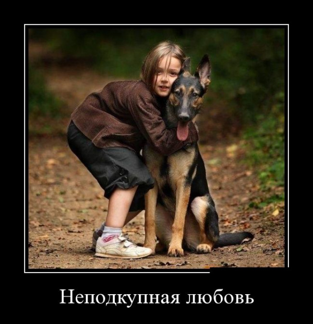 Забавные, веселые и смешные демотиваторы из нашей жизни демотиваторы свежие,смешные демотиваторы