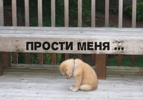 Картинка прости любимый что испортила настроение, надписью зачем тебе