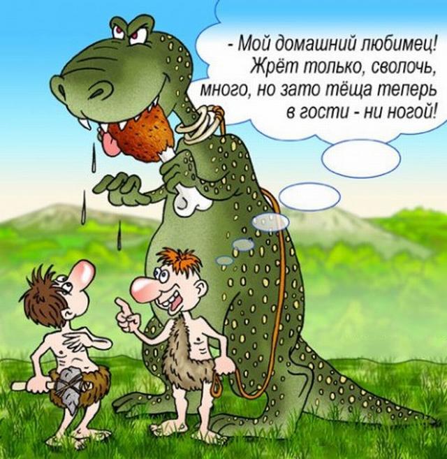 Днем рождения, картинка про тещу и зятя