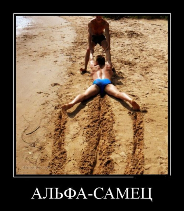 Альфа самец приколы картинки, открытку рождеством