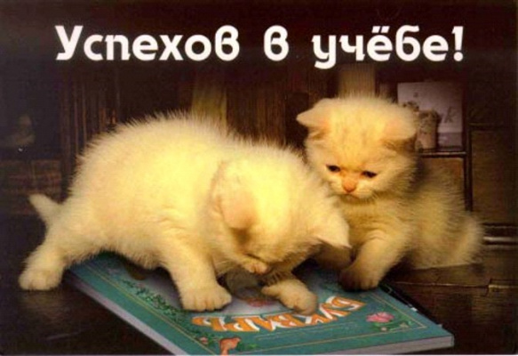 Люблю, открытки успешной учебы