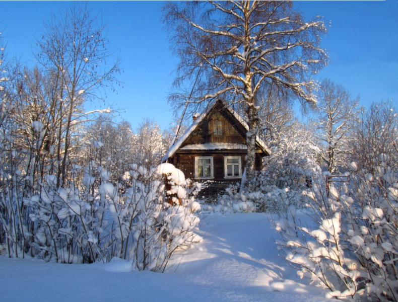 зима фото красивые природа в деревне
